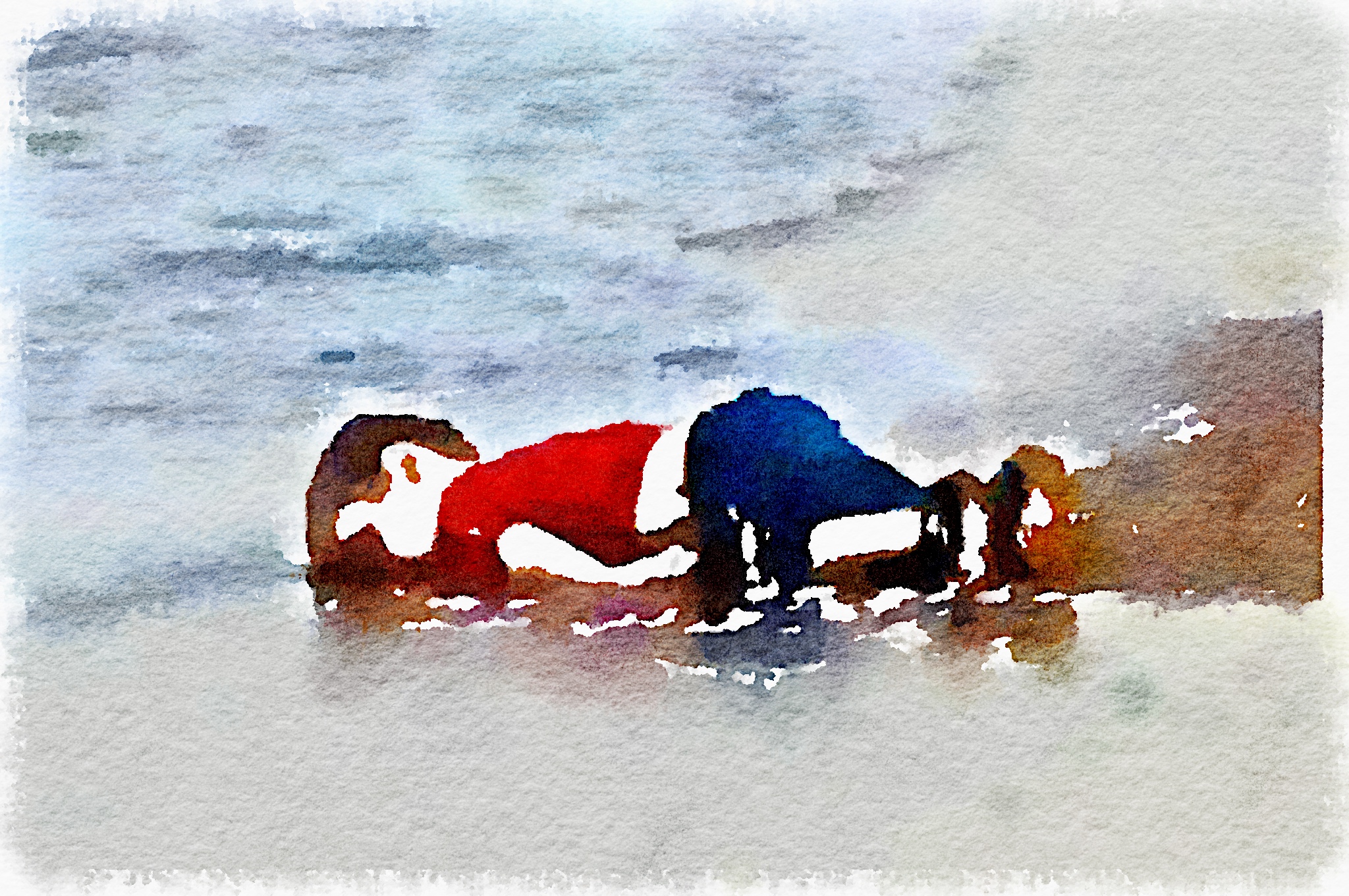 His name was Aylan Kurdi